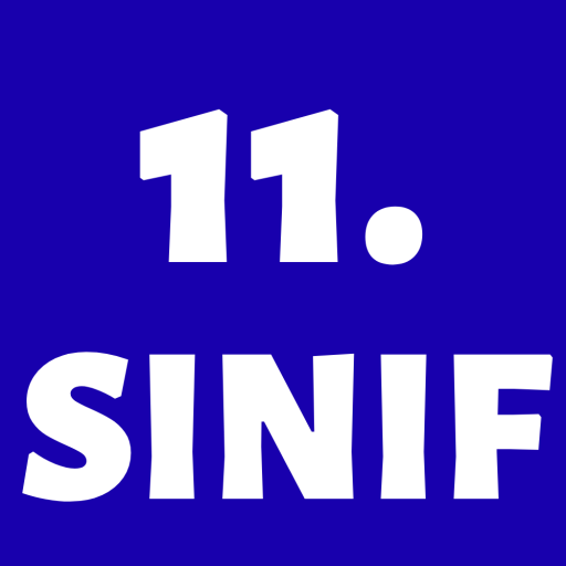 11.Sınıf