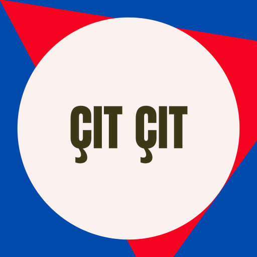 Çıt Çıt Dosya