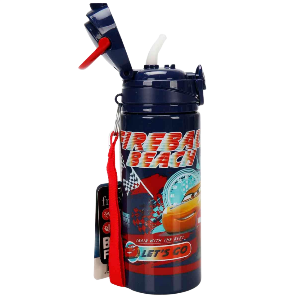 Ottonya Car Desenli Matara 500 ml OTTO-45476