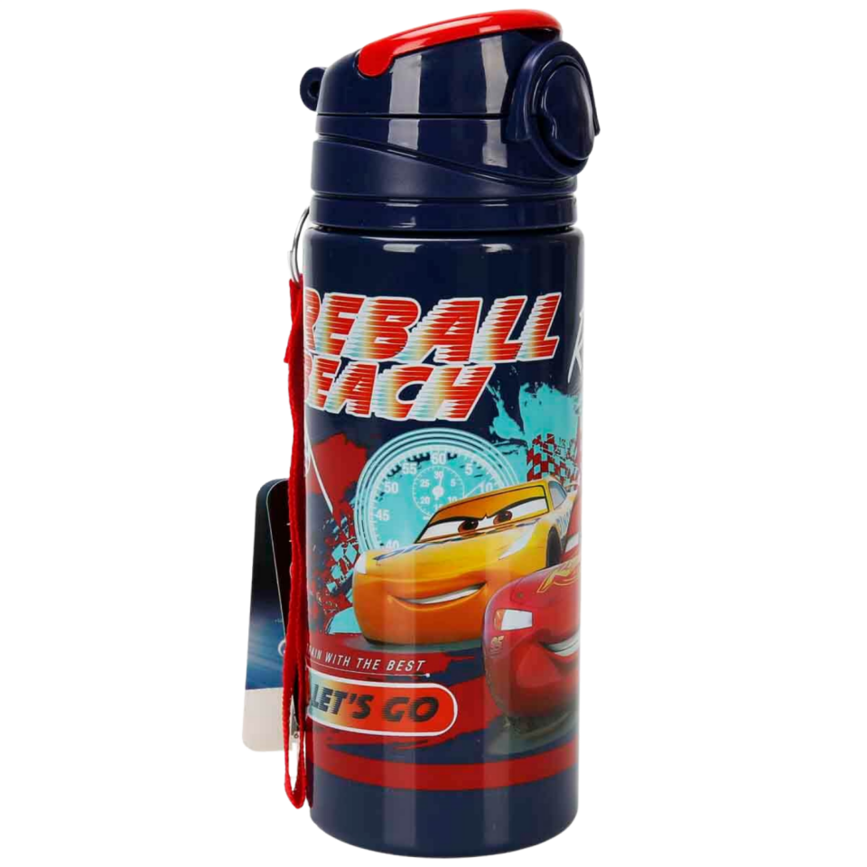 Ottonya Car Desenli Matara 500 ml OTTO-45476