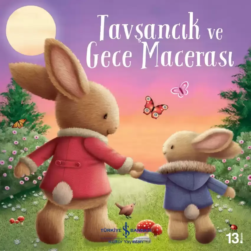 Tavşancık ve Gece Macerası