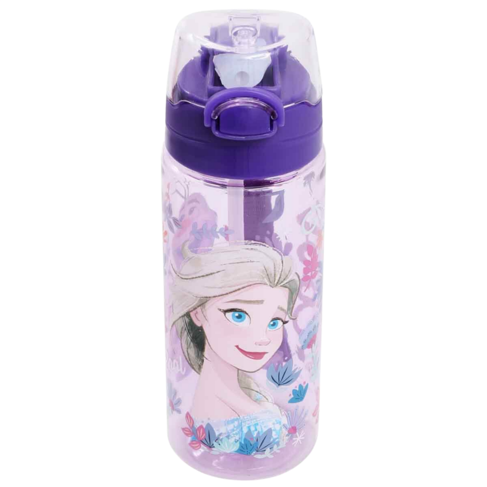 Ottonya Frozen Elsa Desenli Matara 500 ml OTTO-45484