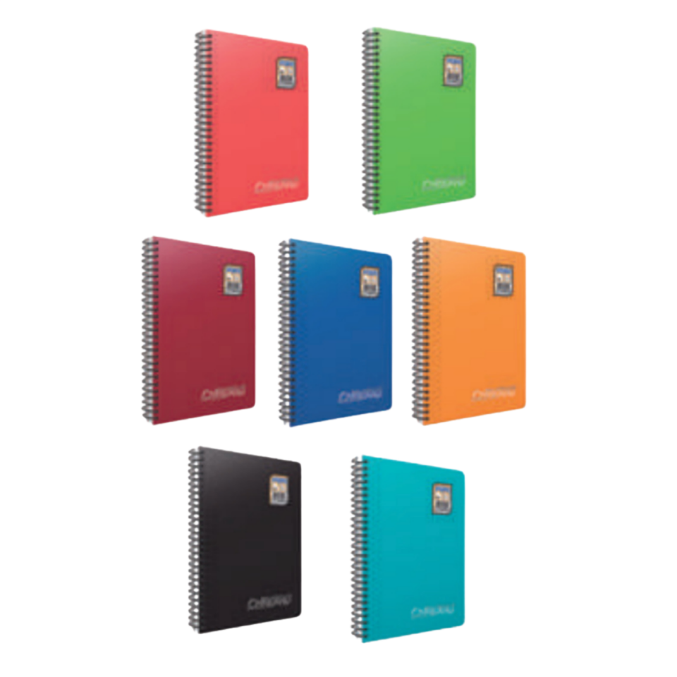 Gıpta 1340 Chromo Spiralli PP Kapak Defter A4 120 Yaprak Çizgili