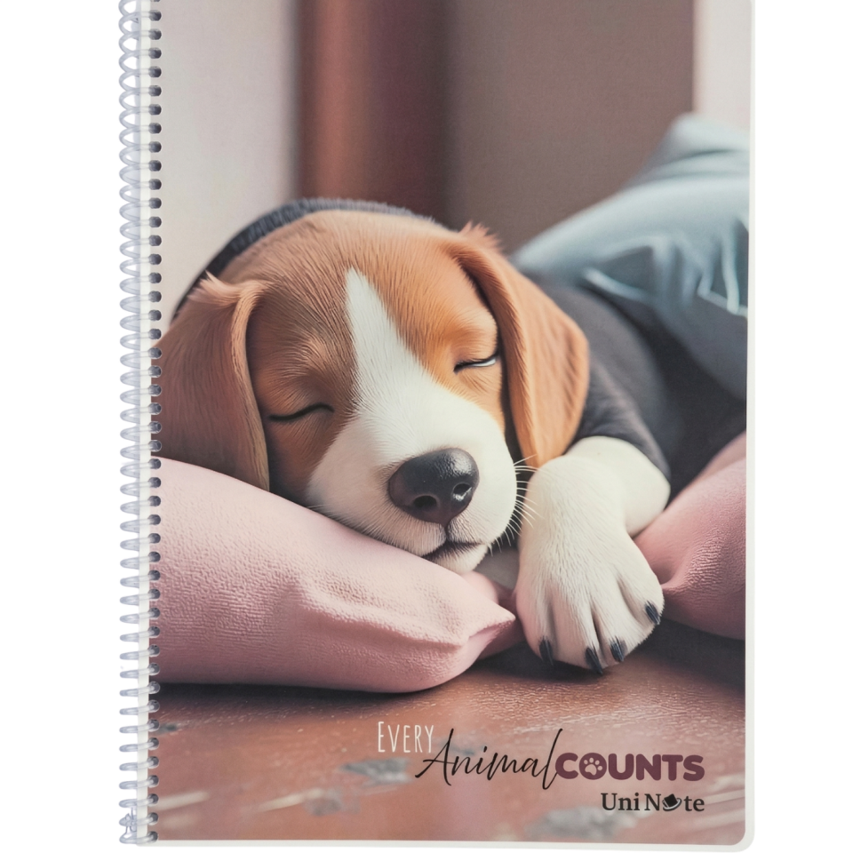 UniNote Animal Spiralli Pp Kapak A4 72 Yp.Çizgili Defter 02