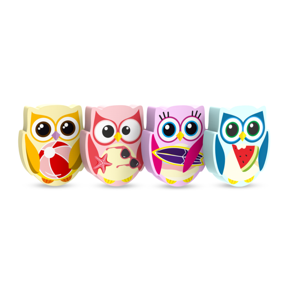 Art.51 Silka Baykuş  Silgi