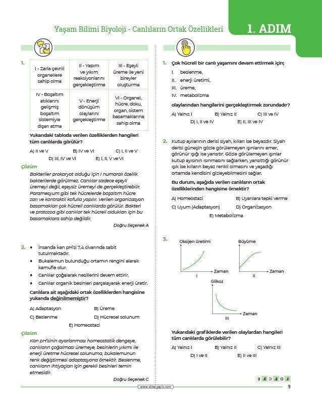 Sınav Yayınları TYT AYT Biyoloji 24 Adımda Konu Anlatımlı Soru Bankası
