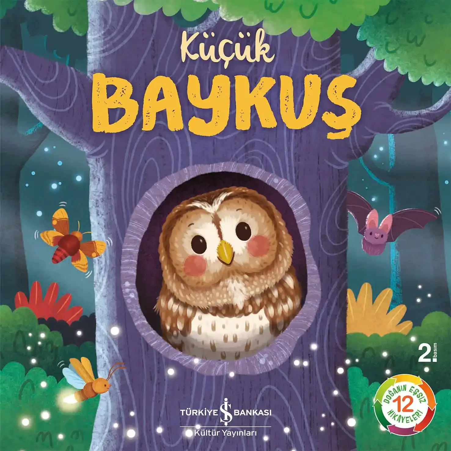 Küçük Baykuş - Doğanın Eşsiz Hikâyeleri 12