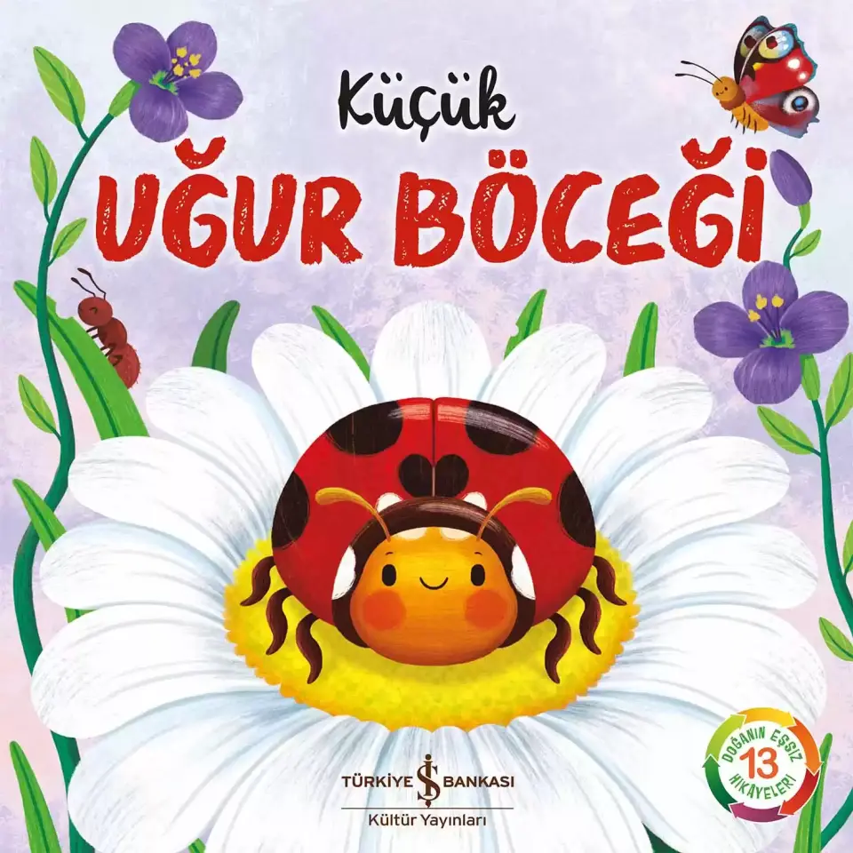 Küçük Uğur Böceği - Doğanın Eşsiz Hikâyeleri 13