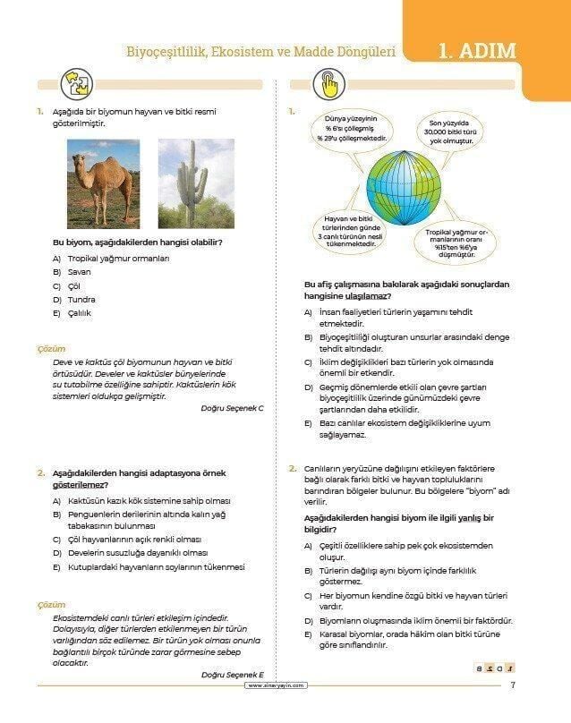 Sınav Yayınları AYT Coğrafya 24 Adımda Konu Anlatımlı Soru Bankası