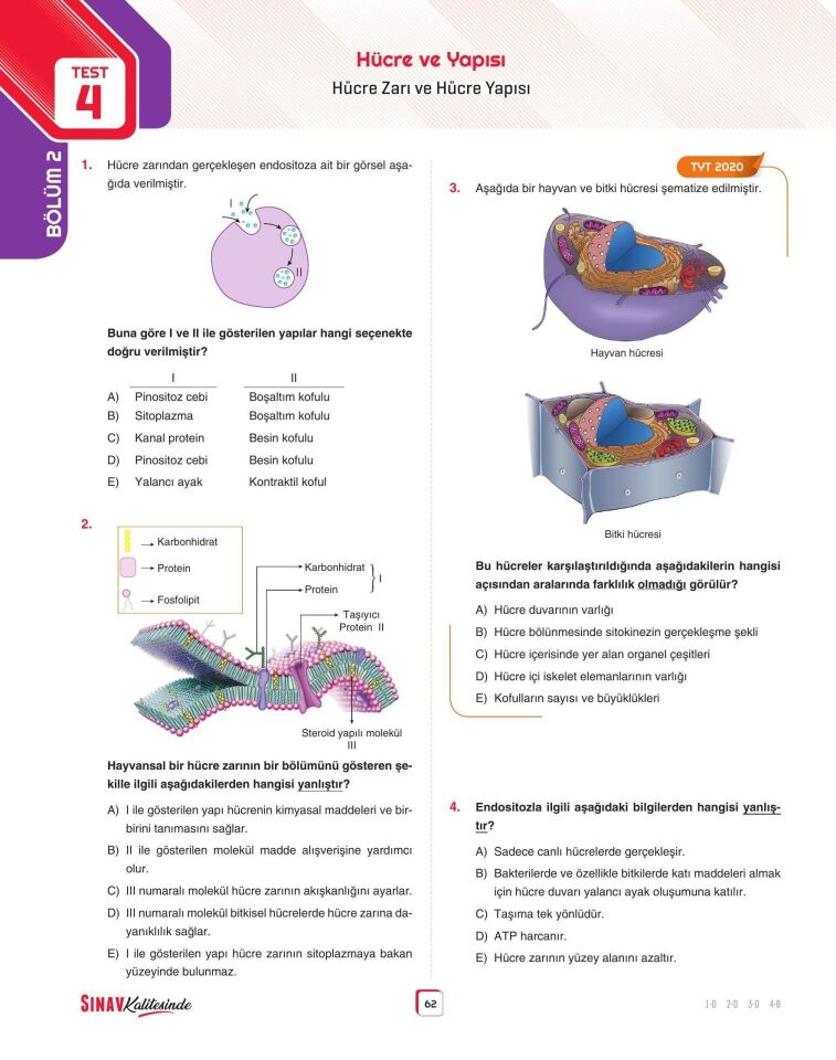 Sınav Yayınları Sınav Kalitesinde TYT Biyoloji Soru Bankası