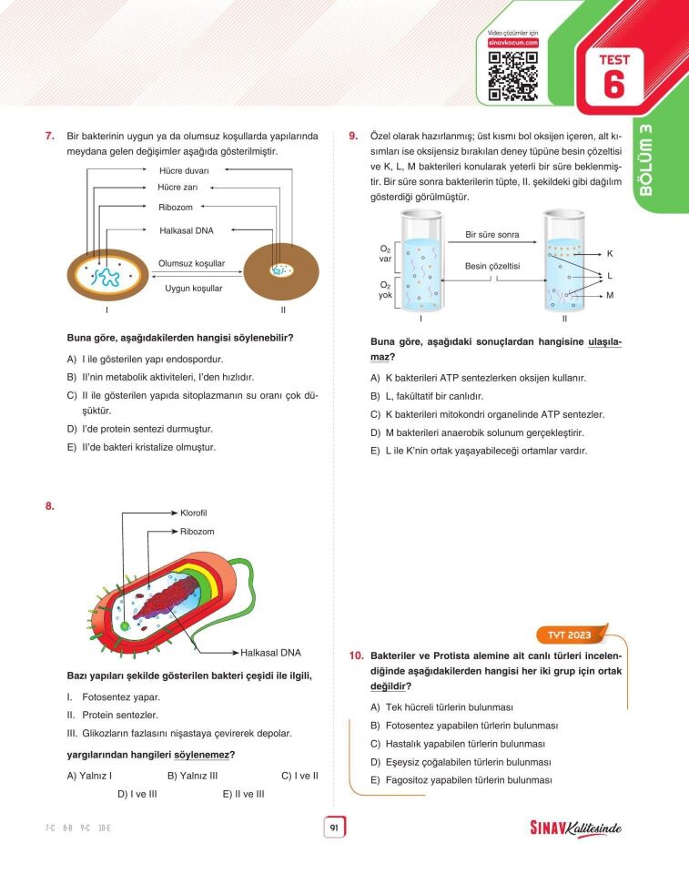 Sınav Yayınları Sınav Kalitesinde TYT Biyoloji Soru Bankası