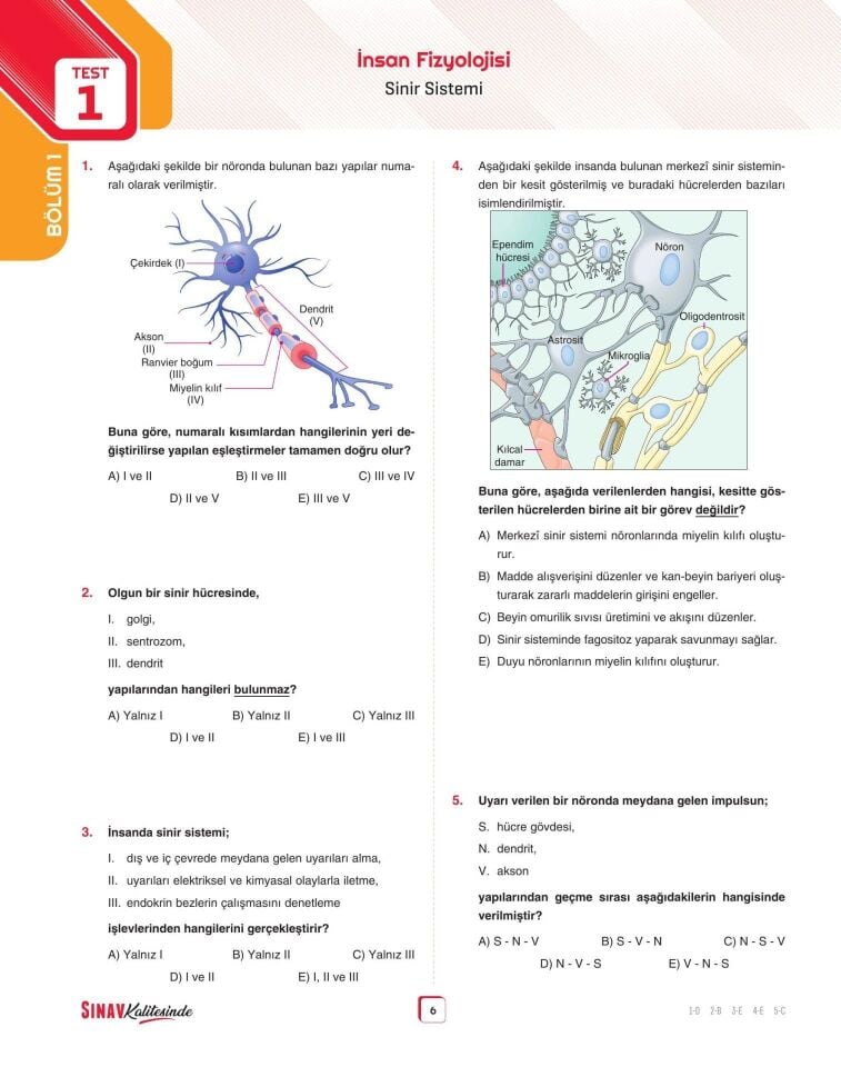 Sınav Yayınları Sınav Kalitesinde AYT Biyoloji Soru Bankası