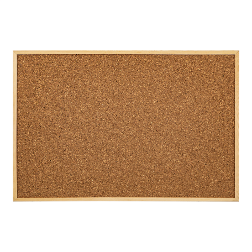 İnterpano 30x45 Ahşap Çerçeveli D.Monte Mantar Pano