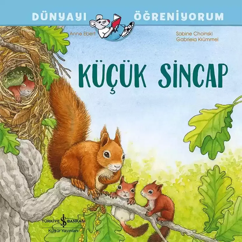 Dünyayı Öğreniyorum - Küçük Sincap