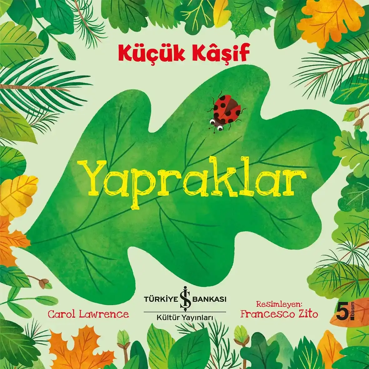 Küçük Kâşif - Yapraklar