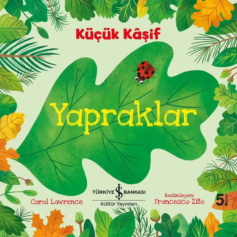 Küçük Kâşif - Yapraklar
