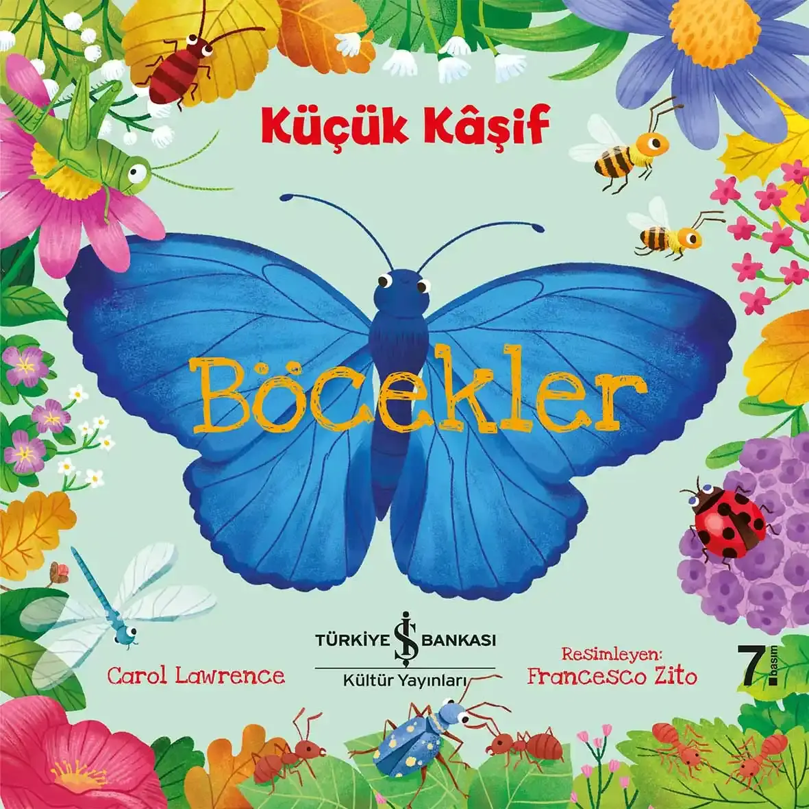 Küçük Kâşif - Böcekler
