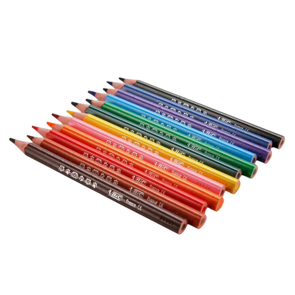 Bic Evolution Üçgen Jumbo Kuruboya 12'li  8297356