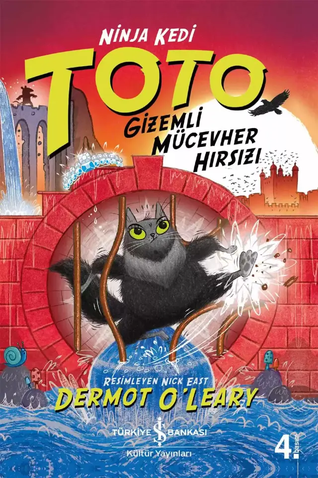 Ninja Kedi Toto – Gizemli Mücevher Hırsızı