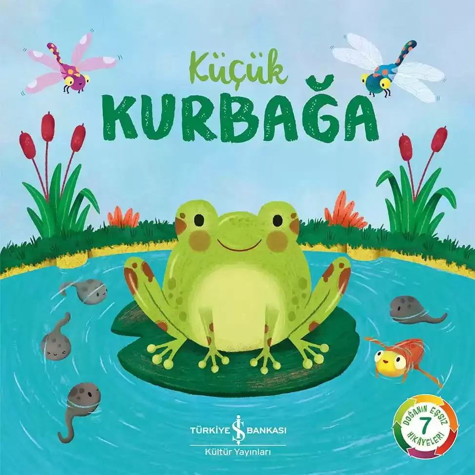 Küçük Kurbağa - Doğanın Eşsiz Hikâyeleri 7