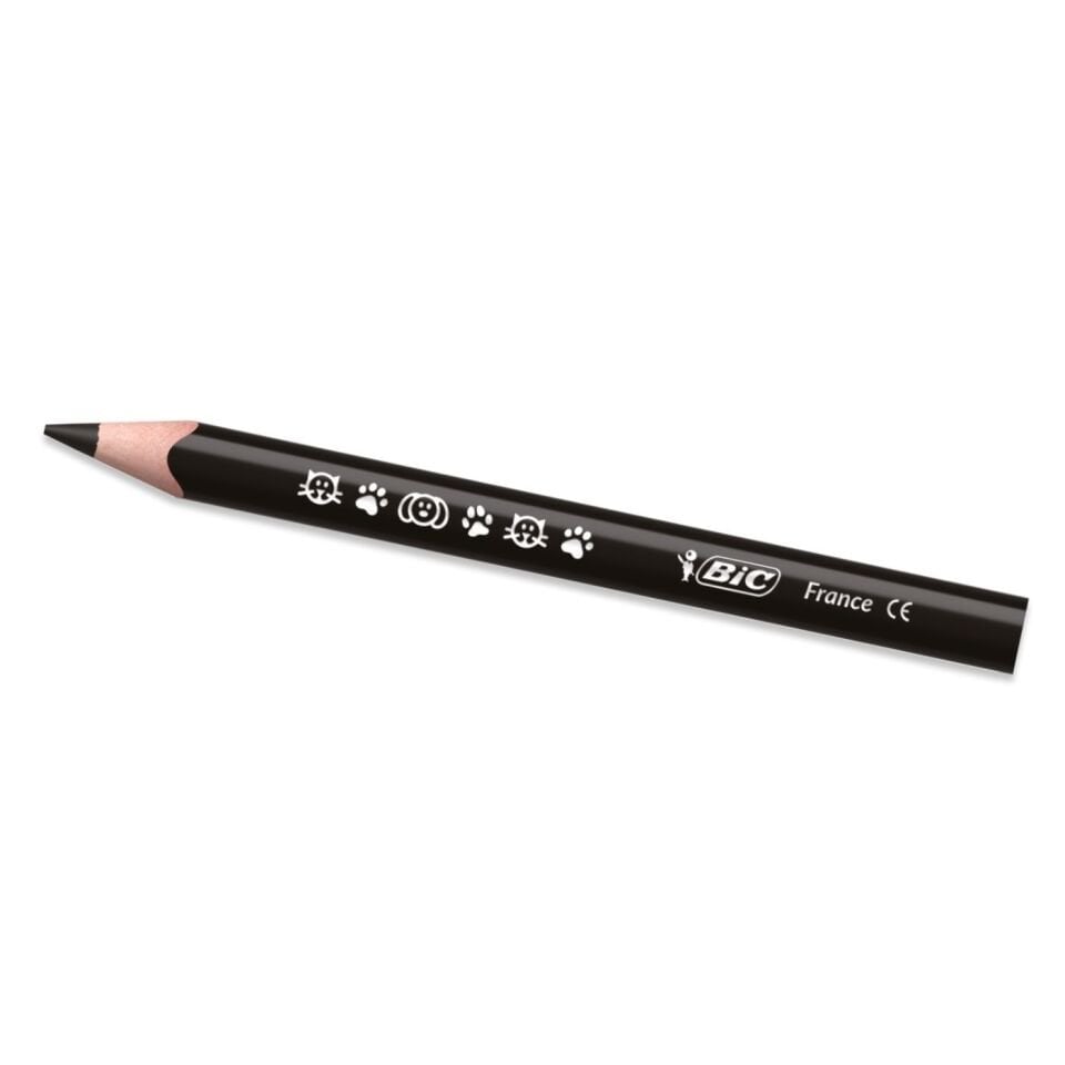 Bic Evolution Üçgen Jumbo. Kuruboya Kalemi 12+1'li Metal Tüp 958192