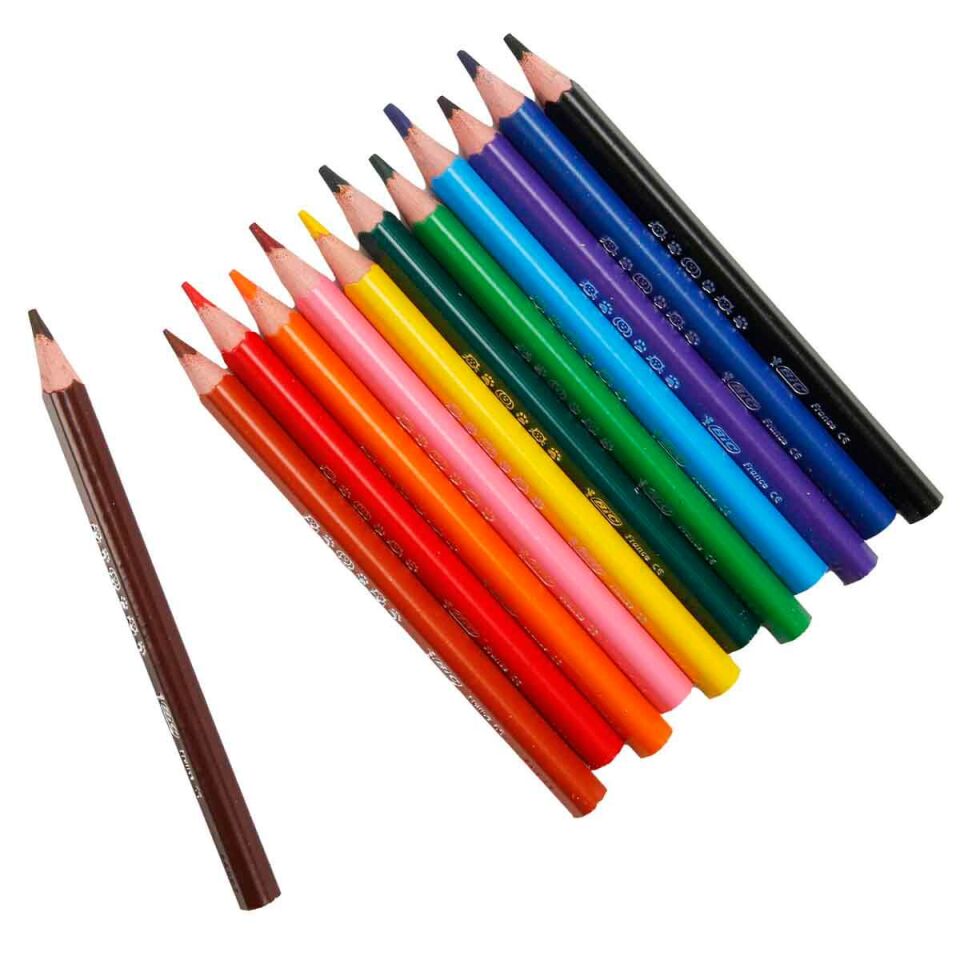 Bic Evolution Üçgen Jumbo. Kuruboya Kalemi 12+1'li Metal Tüp 958192