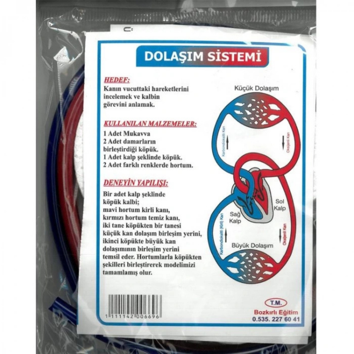 Bilgi  Dolaşım  Sistemi