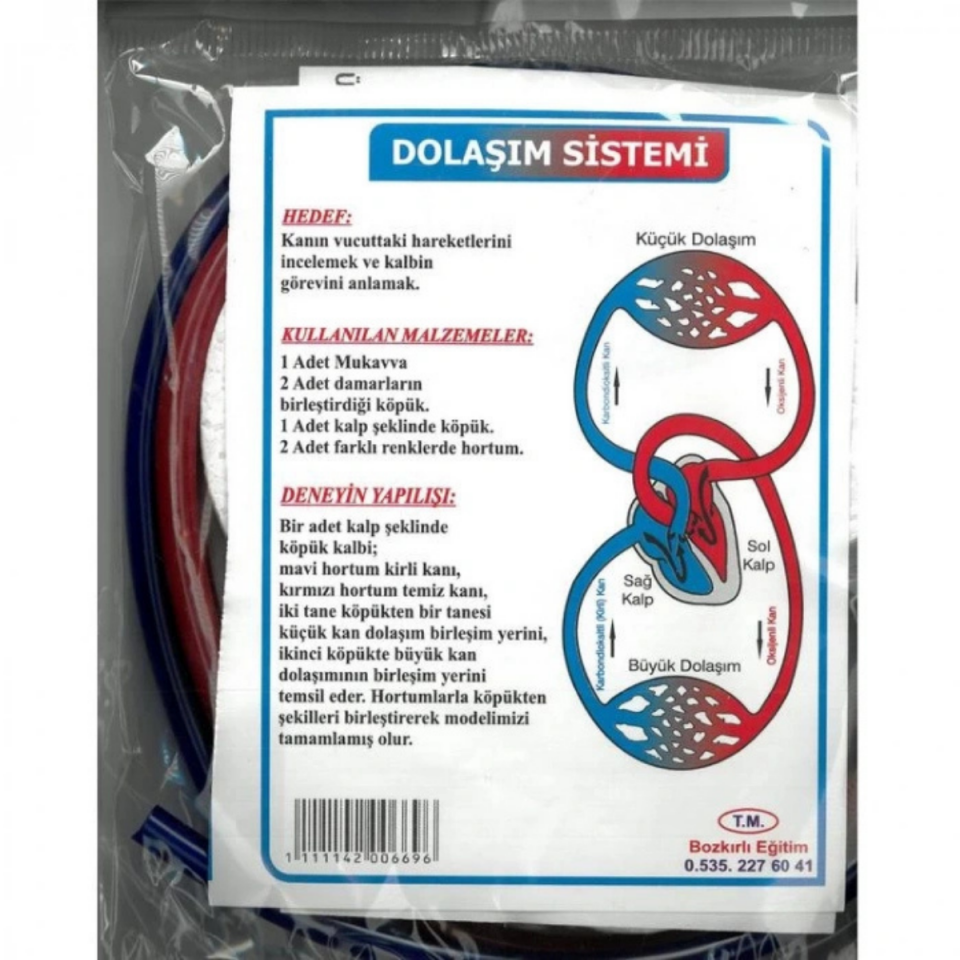 Bilgi  Dolaşım  Sistemi