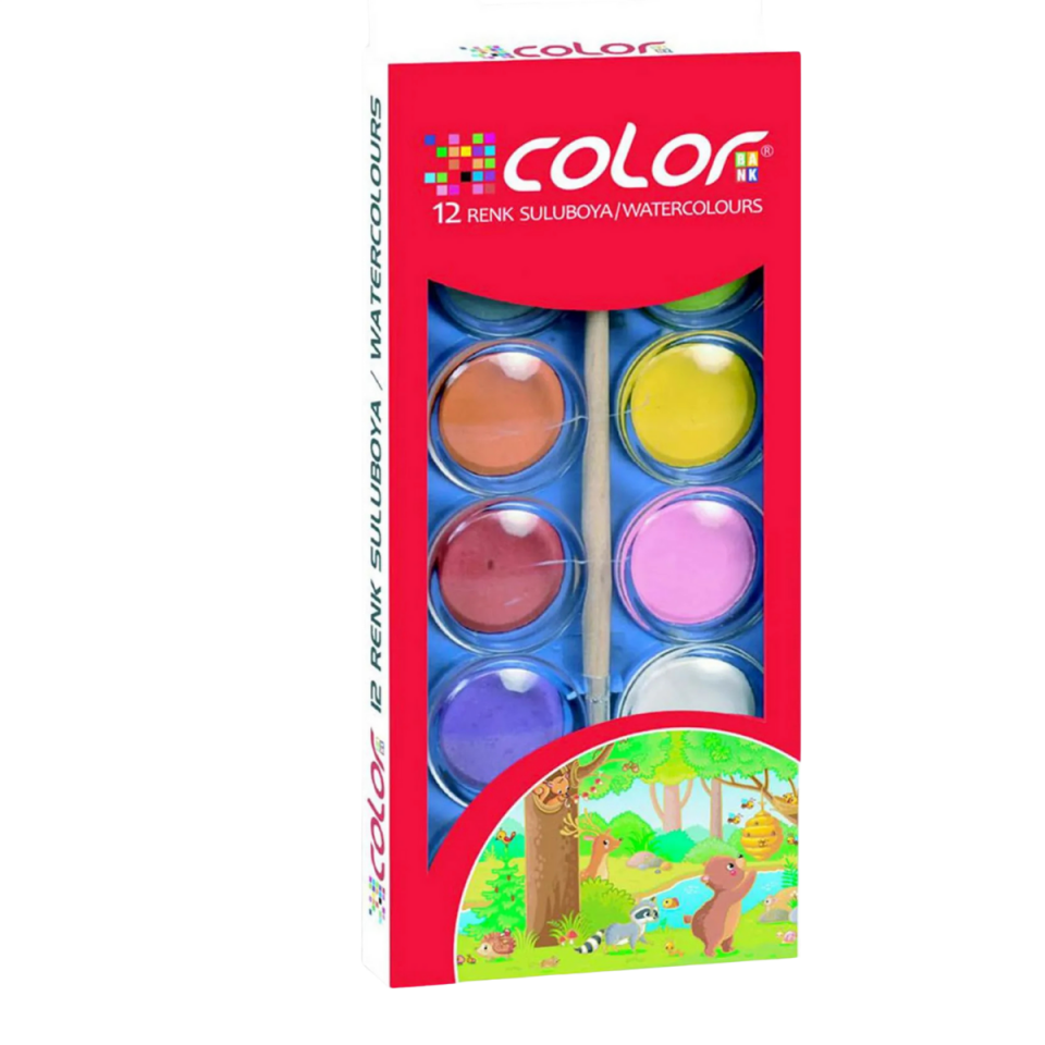 Colorbank 12 Renk Sulu Boya