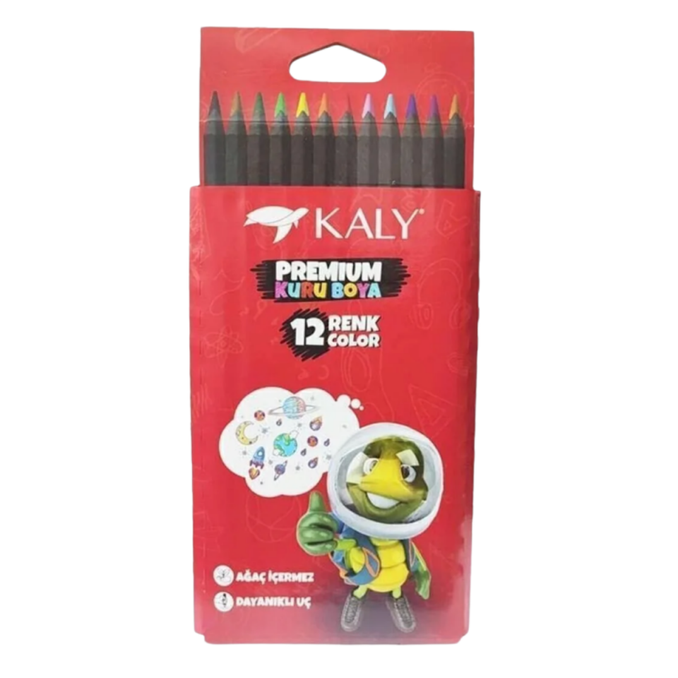 Silka Kaly Premium Kuru Boya 12 Renk