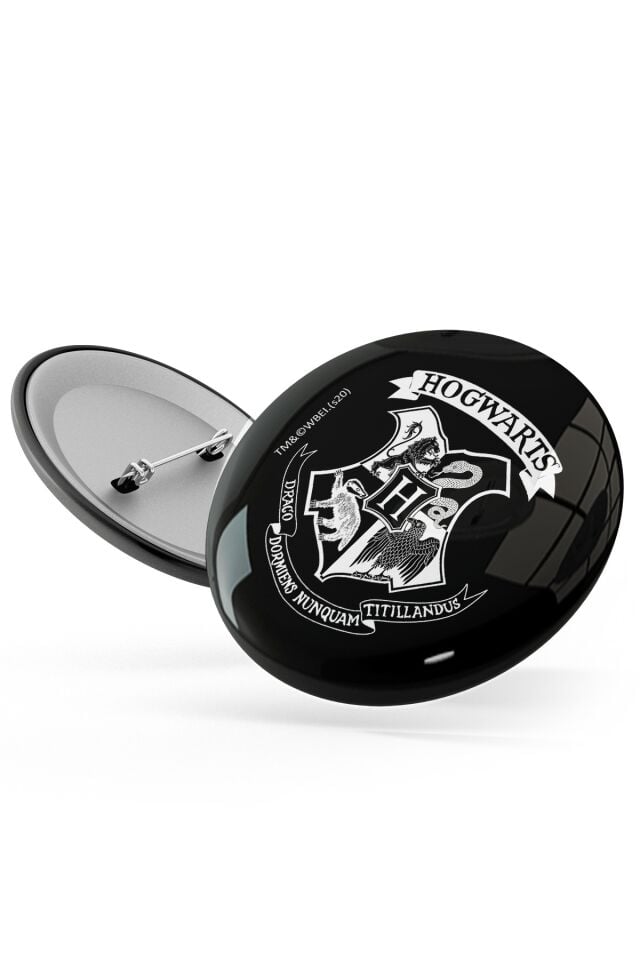 Harry Potter 4'lü Rozet Karışık Boy  3061310