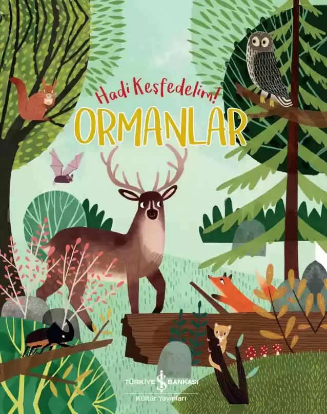 Ormanlar – Hadi Keşfedelim!