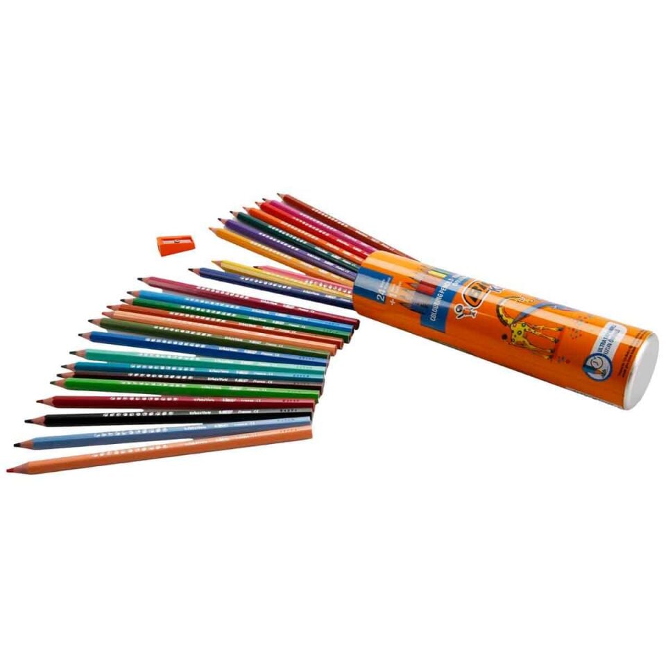 Bic Evolutıon Kuru Boya Kalemi 24+1'li Metal Tüp