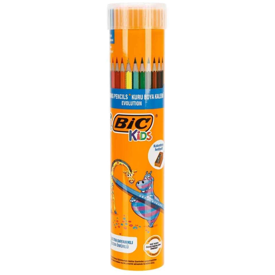 Bic Evolution Kuru Boya Kalemi 12+1'li Metal Tüp