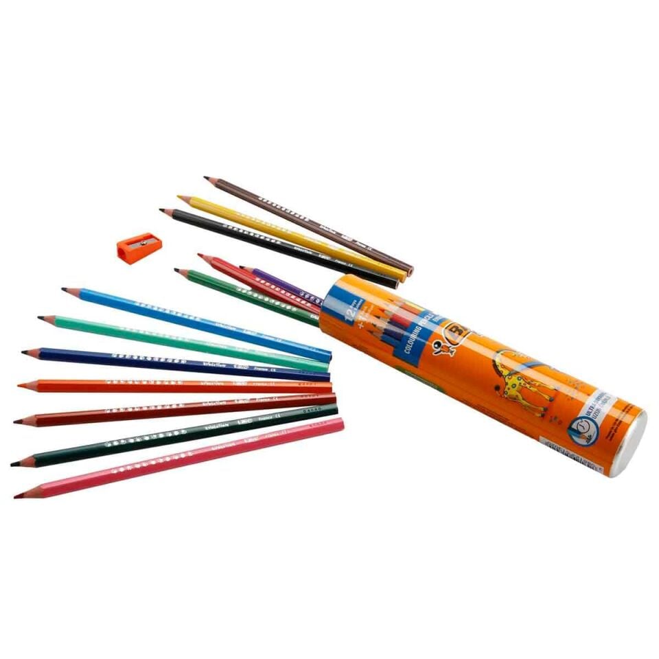 Bic Evolution Kuru Boya Kalemi 12+1'li Metal Tüp