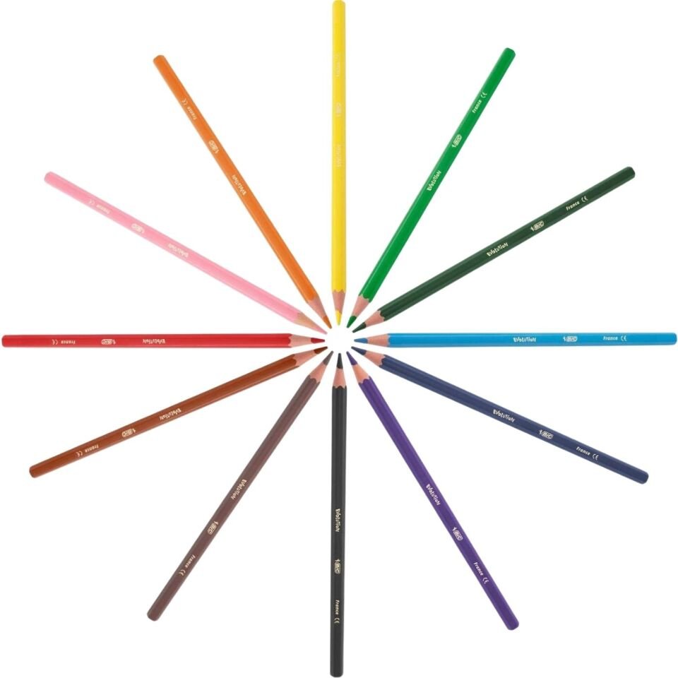 BIC Evolution Kuruboya Kalemi 36'lı Metal Tüp 968491