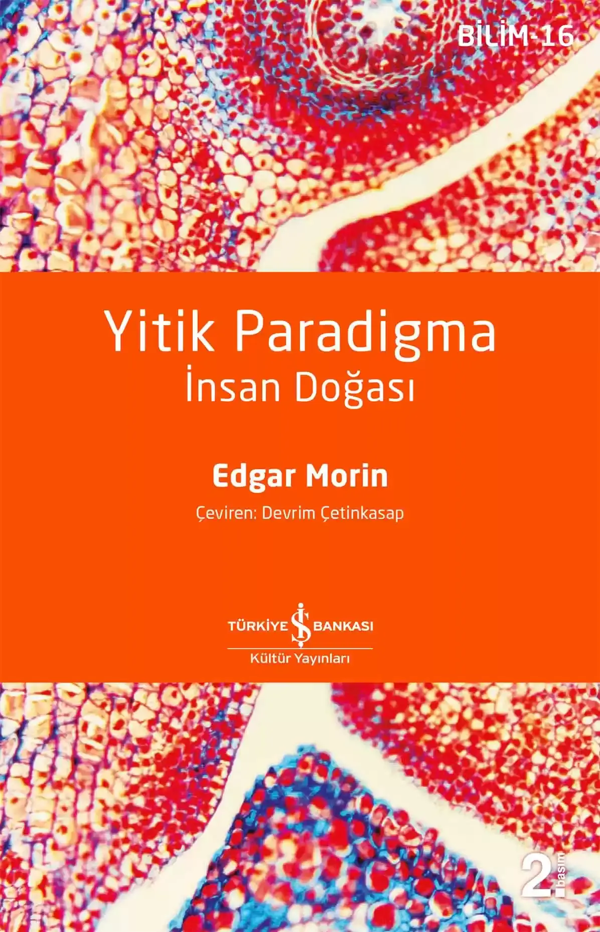 Yitik Paradigma – İnsan Doğası