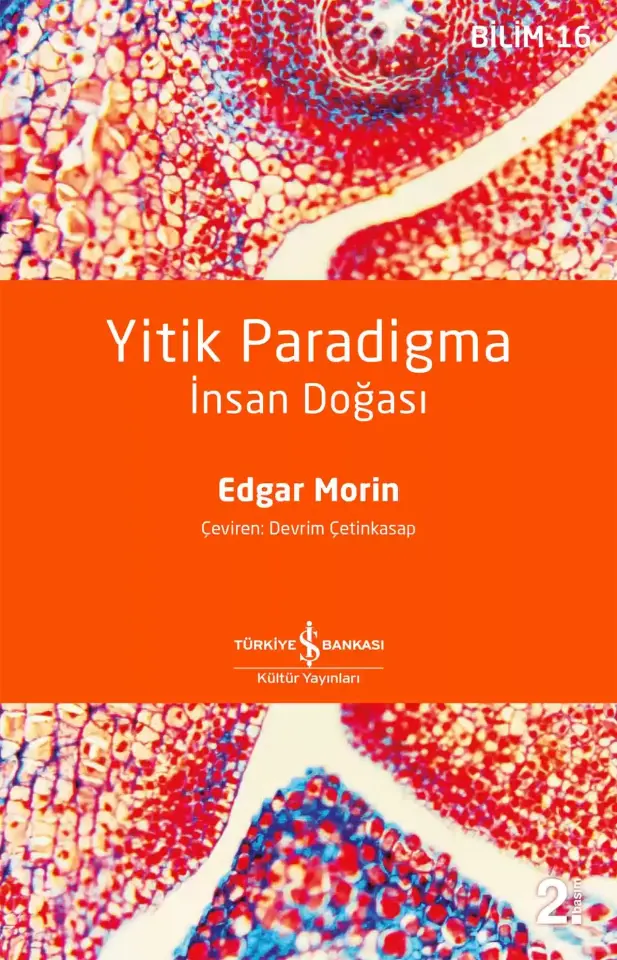 Yitik Paradigma – İnsan Doğası